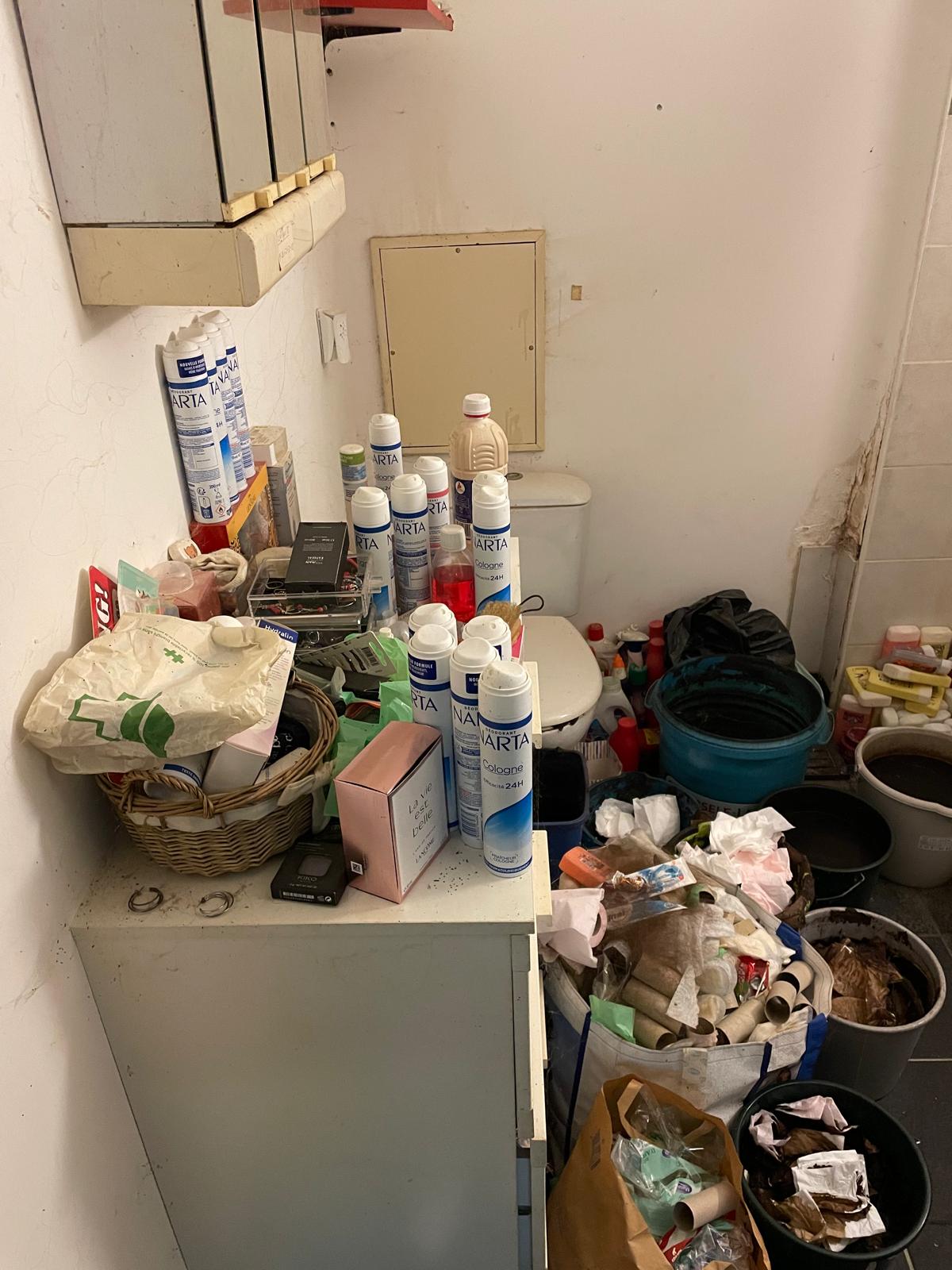 Guide complet pour désinfecter un logement après des animaux errants IMG 20241126 WA0039 1