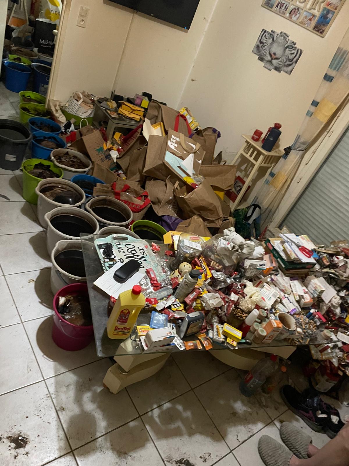 Les étapes essentielles pour un nettoyage réussi après des animaux dans votre logement IMG 20241126 WA0051 1