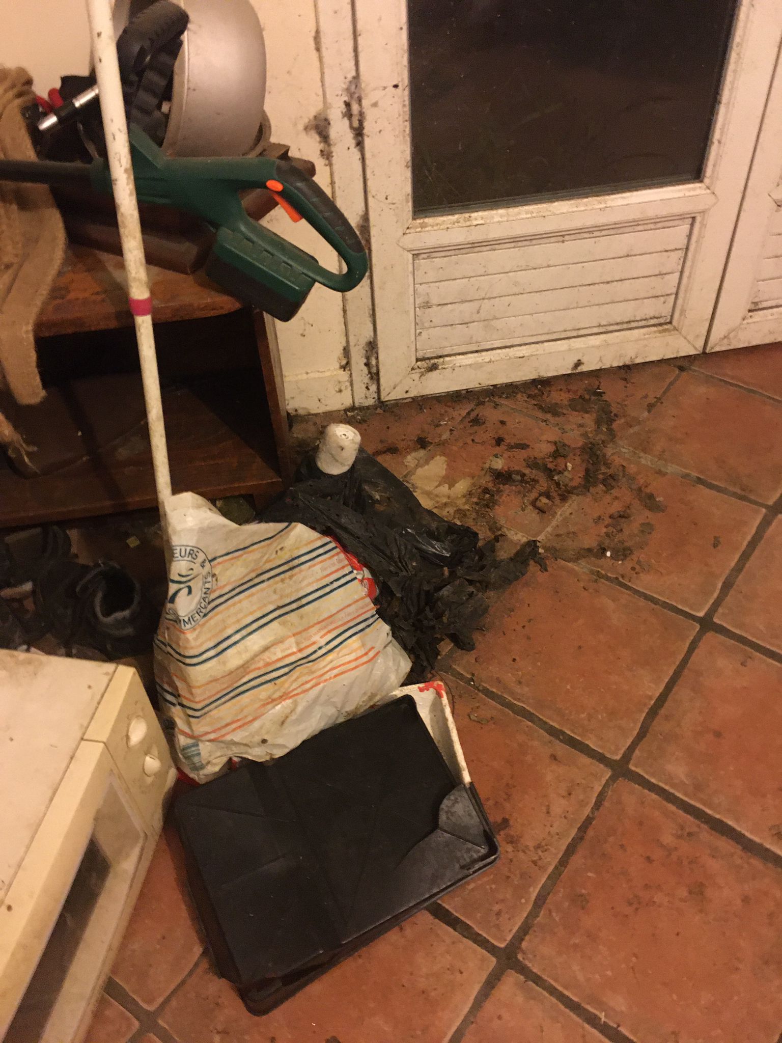 Comment nettoyer efficacement un logement squatté par des animaux IMG 20241130 WA0009 1