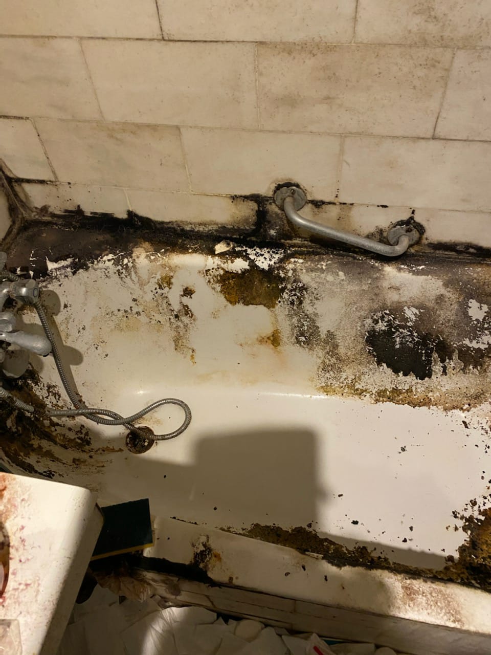 Les dangers du nettoyage de logements squattés par des animaux : ce qu'il faut savoir IMG 20241217 WA0021 1