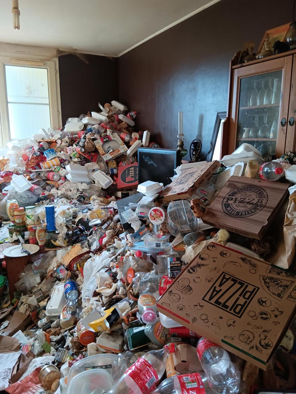 L'impact des animaux sur votre logement et comment le nettoyer efficacement IMG 20241217 WA0039 1